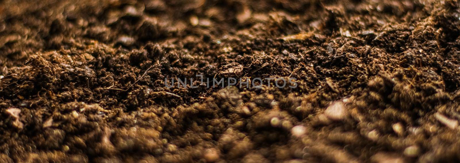 Earth ground texture as background, nature and environmental backdrop
