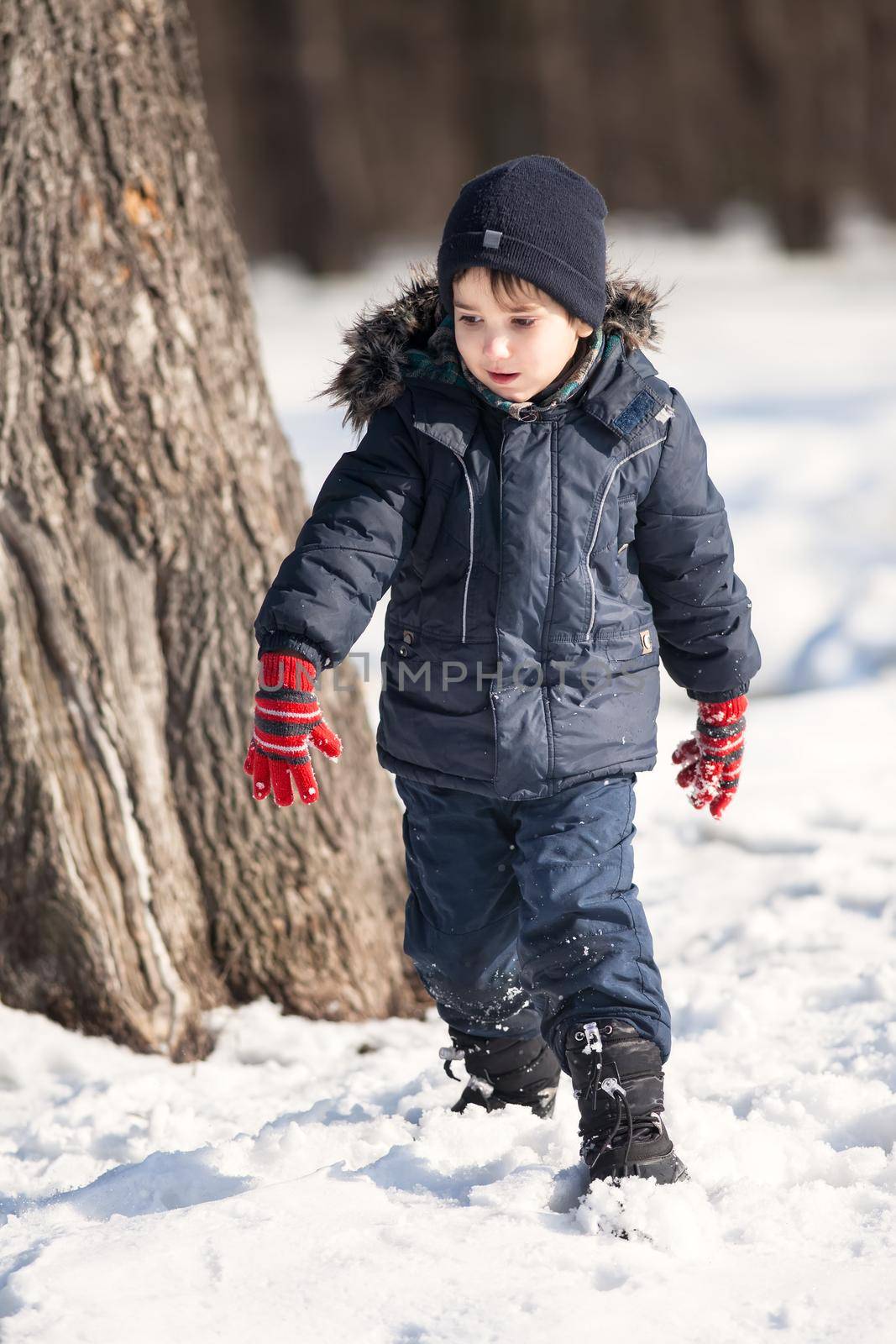 Cute boy walk in the winter park in sunny day