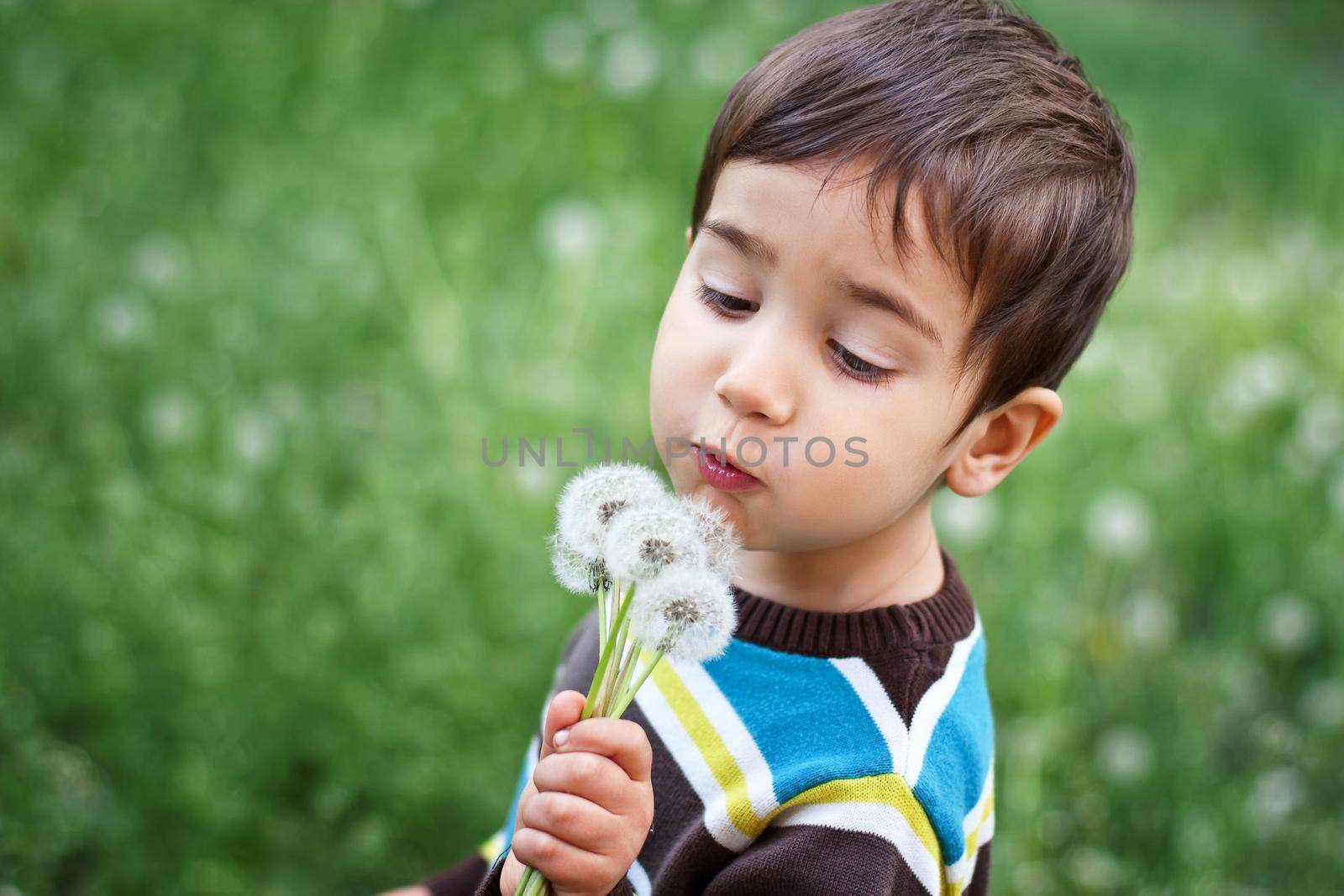 Kid blowing dandelion outdoor on green