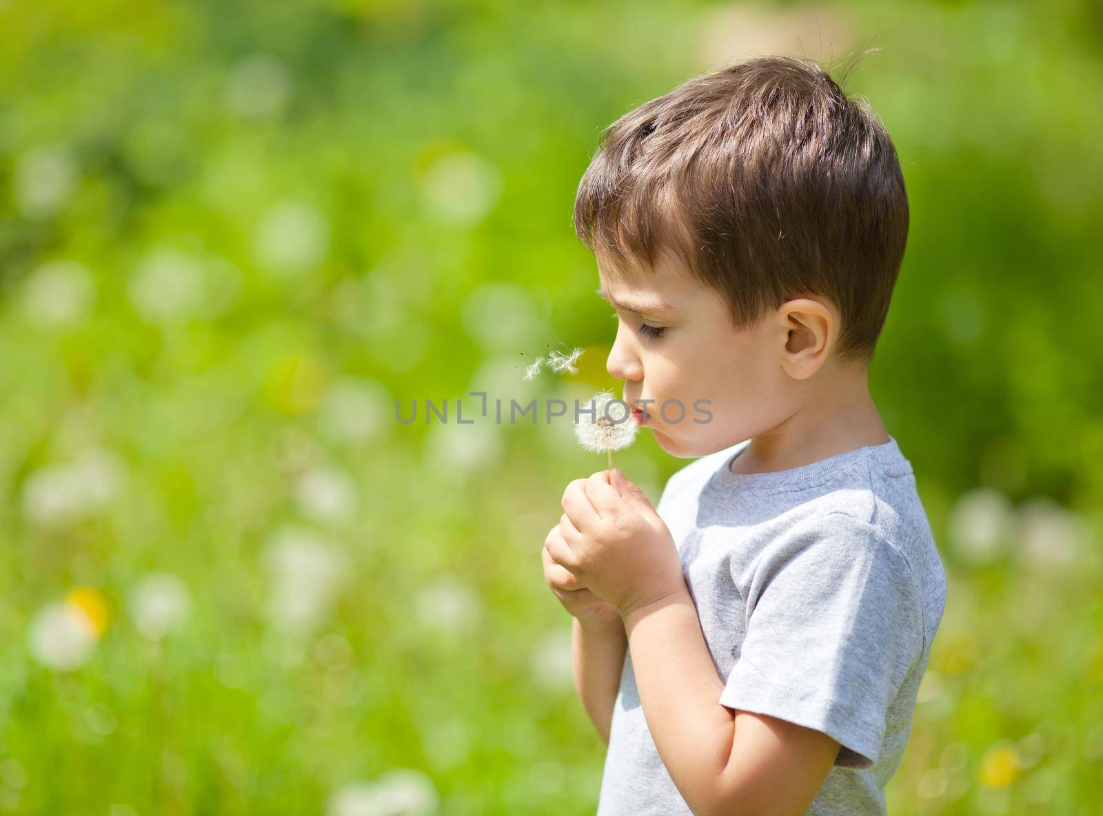 boy blowing dandelion by palinchak