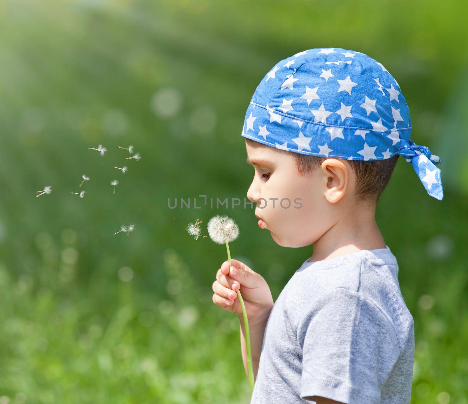 Little cute boy blowing dandelion on blurred dandelion field