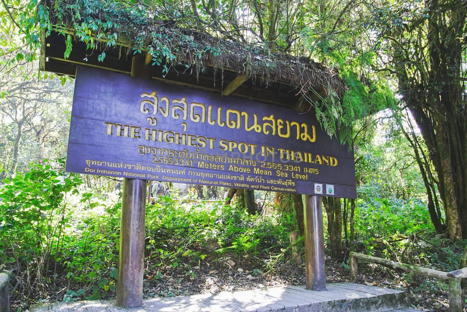 The highest spot in Thailand sign at Doi Inthanon National Park, Chiang mai, Thailand. 2,565.3341 Meters above mean sea level. (Translation:The highest spot in Thailand)