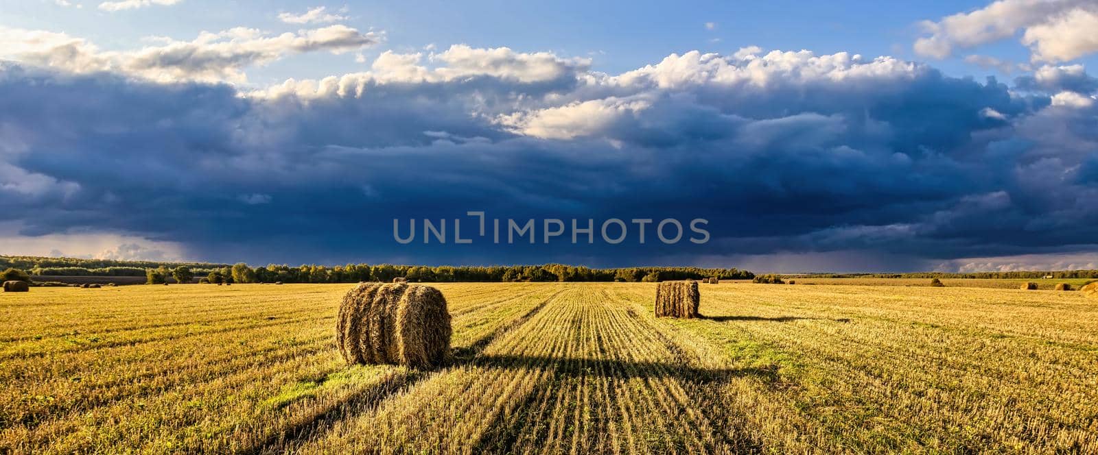 A field of a haystacks on an autumn day, illuminated by sunlight, with rain clouds in the sky. by Eugene_Yemelyanov