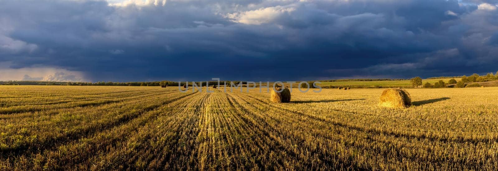 A field of a haystacks on an autumn day, illuminated by sunlight, with rain clouds in the sky. by Eugene_Yemelyanov