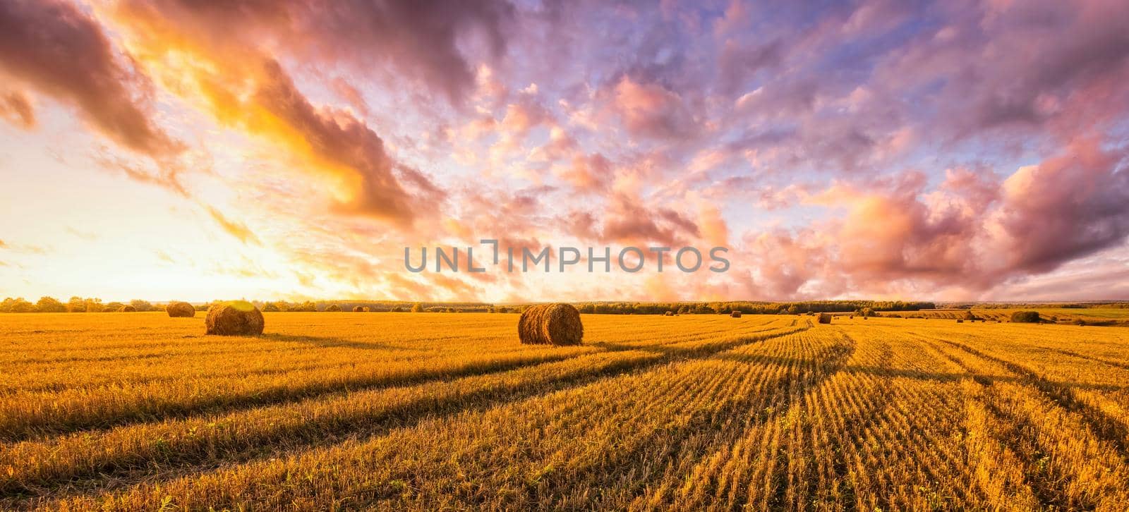Sunset on the field with haystacks in Autumn season. Rural landscape with cloudy sky background in a sunny evening. Golden harvest of wheat.