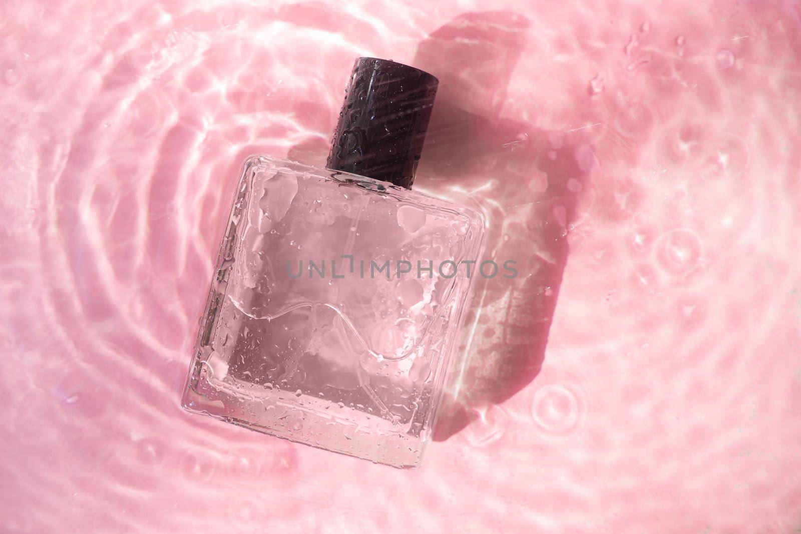 Perfume bottle on the background and water drops. A bottle of perfume without inscriptions . Smell. Perfume on a pink background. Water drops. Copy space. Article about the choice of perfume