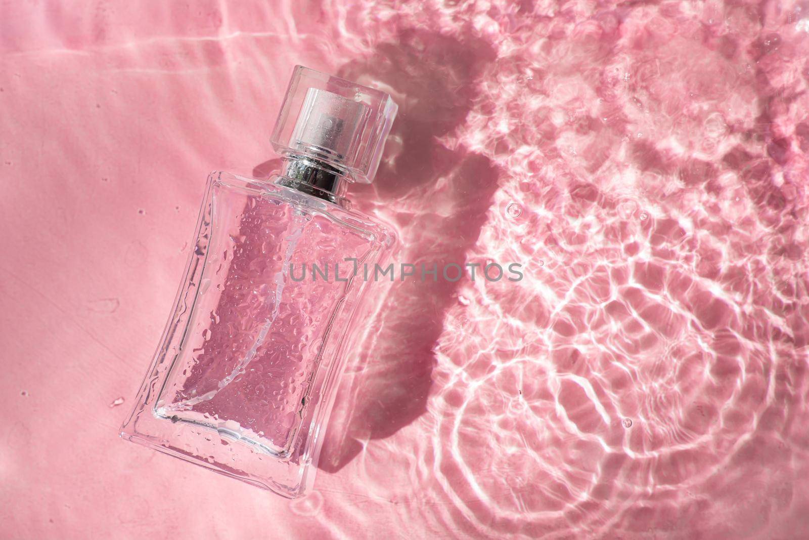 Perfume bottle on the background and water drops. A bottle of perfume without inscriptions . Smell. Perfume on a pink background. Water drops. Copy space. Article about the choice of perfume