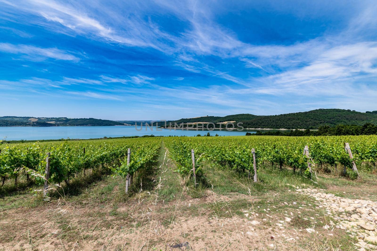 corbara lake in umbria with bathing areas in summer