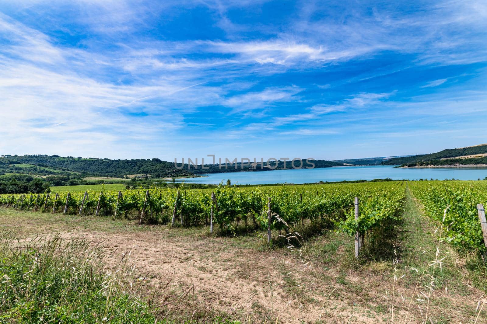 corbara lake in umbria with bathing areas in summer