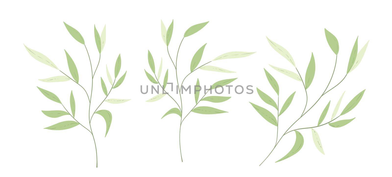 Floral set hand drawn color leaves. Cute isolated elements. Clip art for stationery, web design. Modern floral compositions. Vector illustration