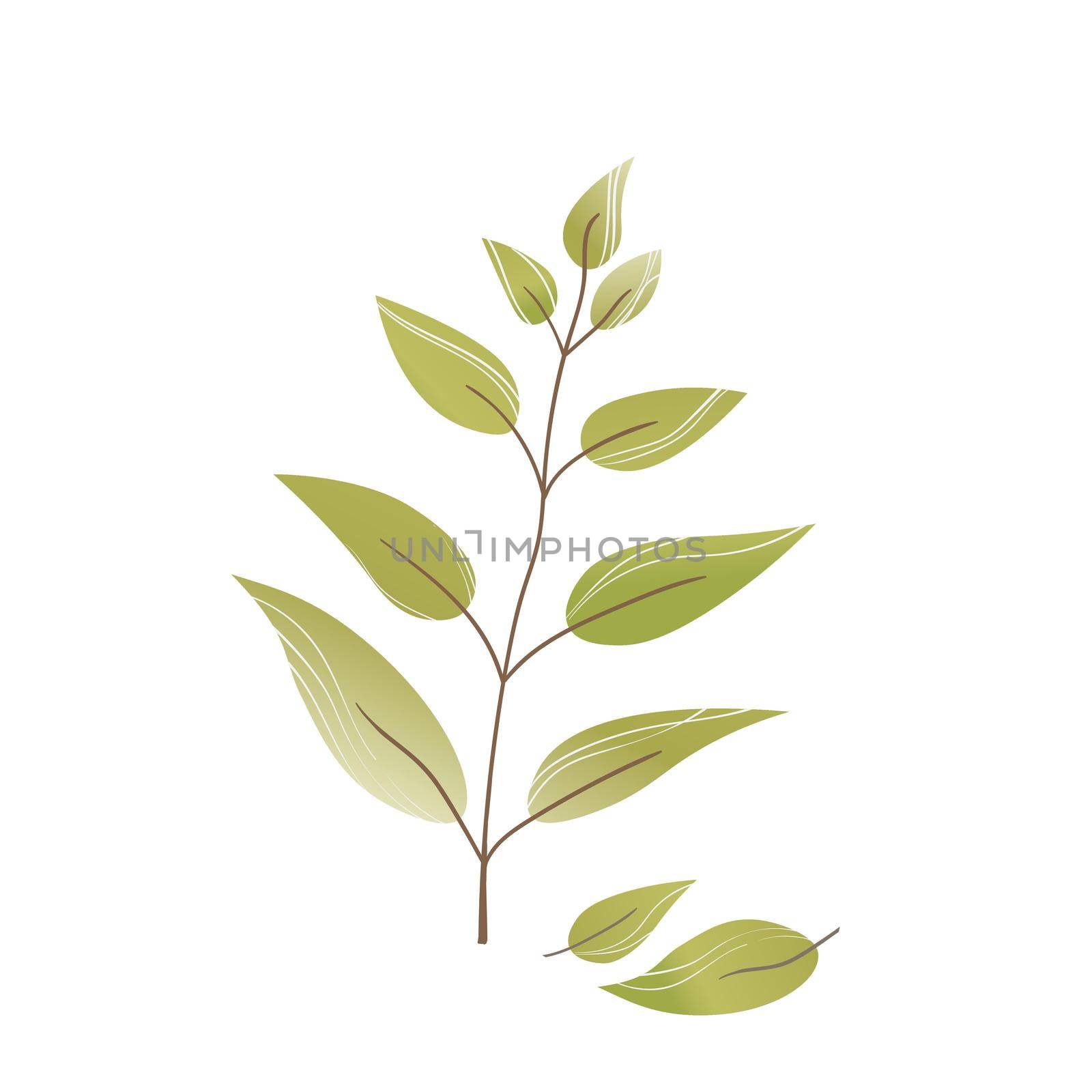 Hand drawn color leaf. Cute isolated element. Modern floral compositions. Tropic brown branches. Vector stock illustration. Clip art for stationery, web design, wallpaper, card