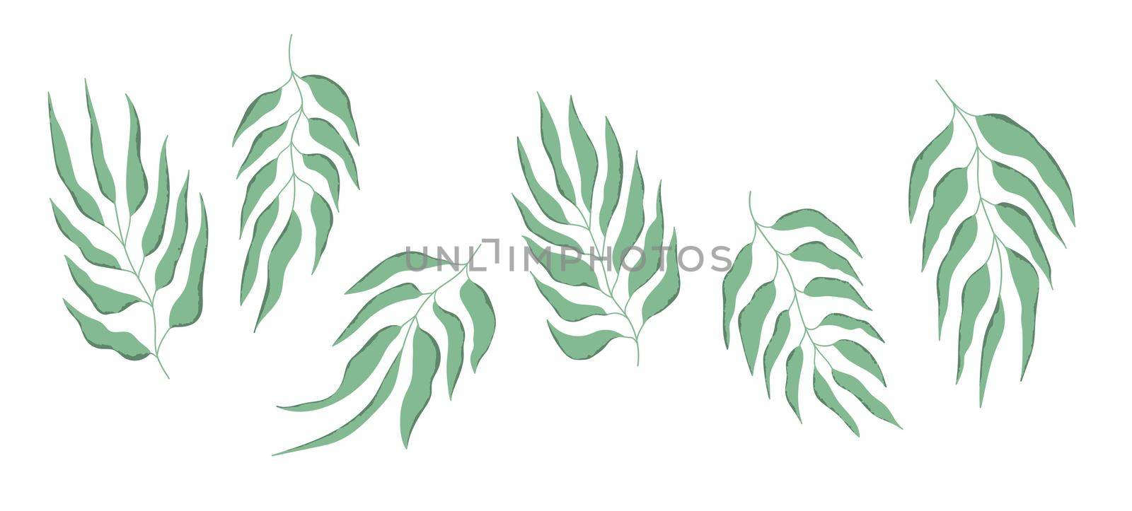 Floral set hand drawn color leaves. Cute isolated elements. Clip art for stationery, web design. Modern floral compositions. Vector illustration