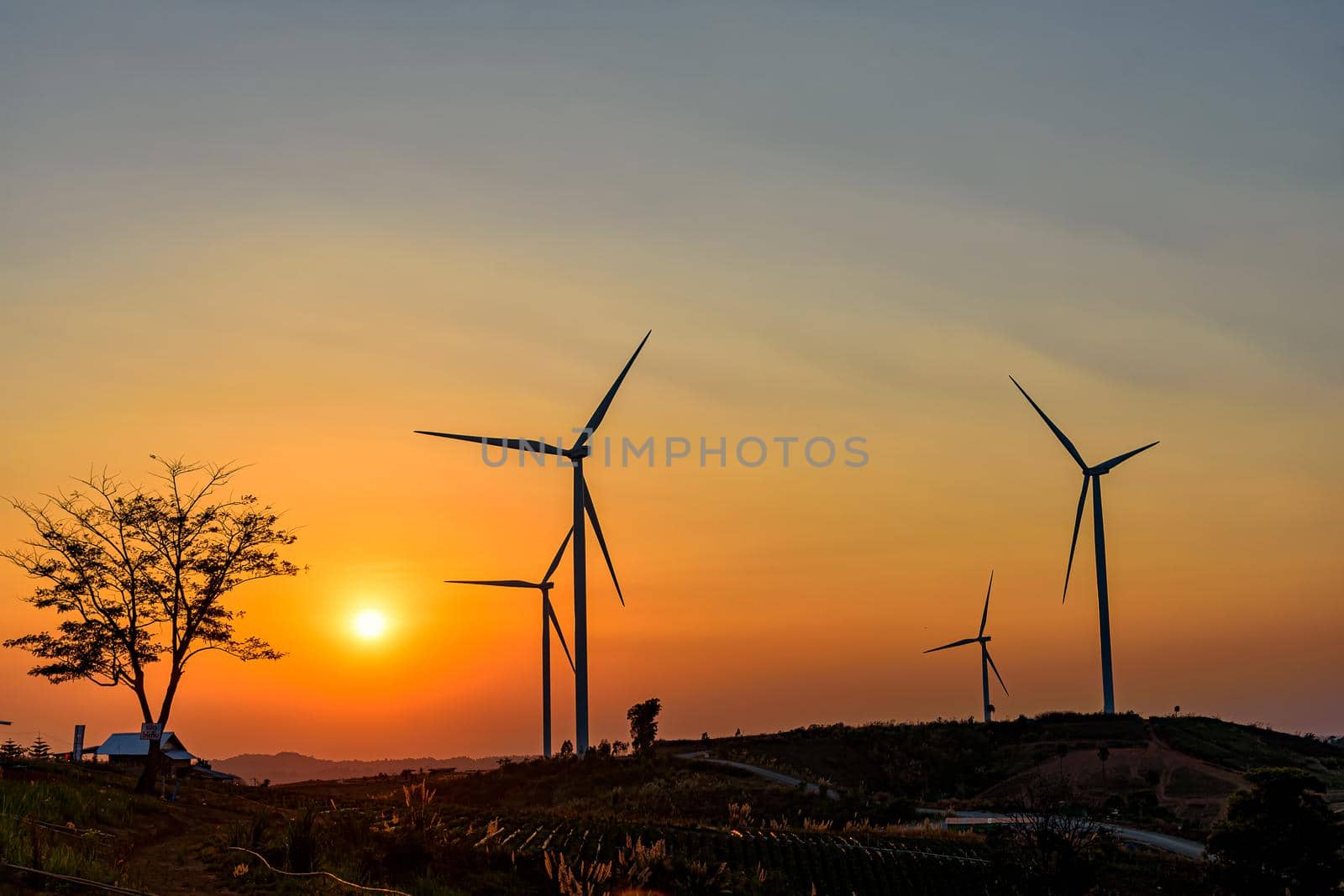 Wind turbine farm over sunset by NuwatPhoto