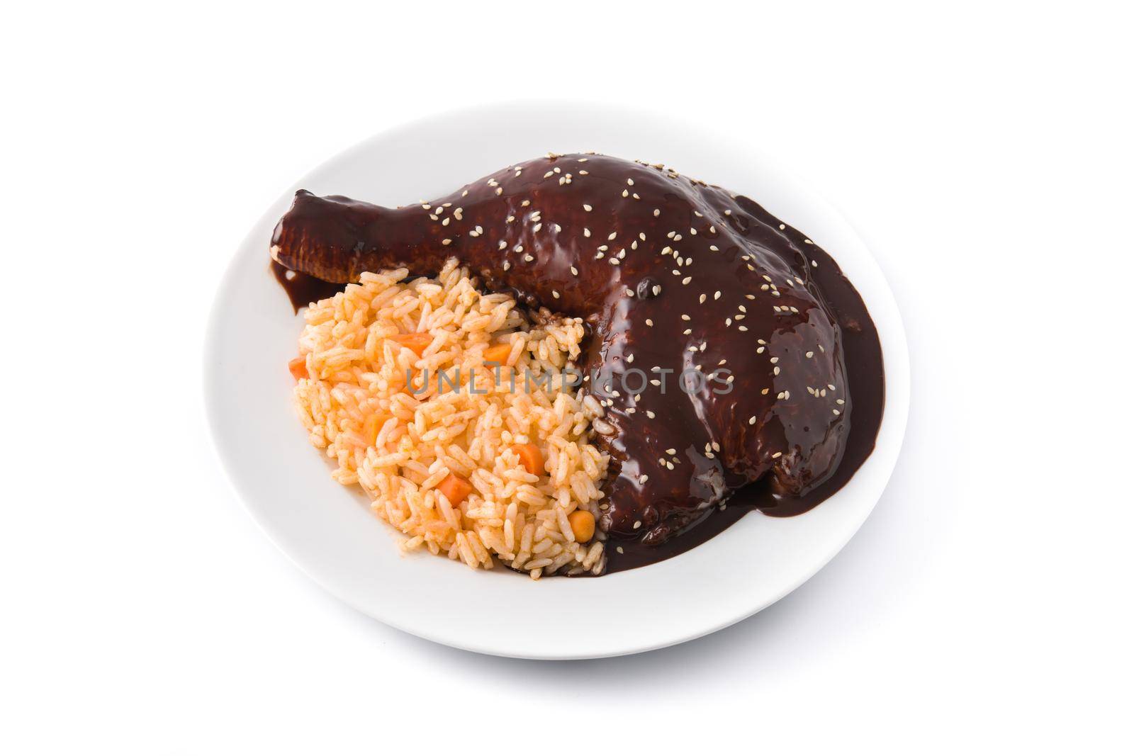 Traditional mole Poblano with rice plate close up
