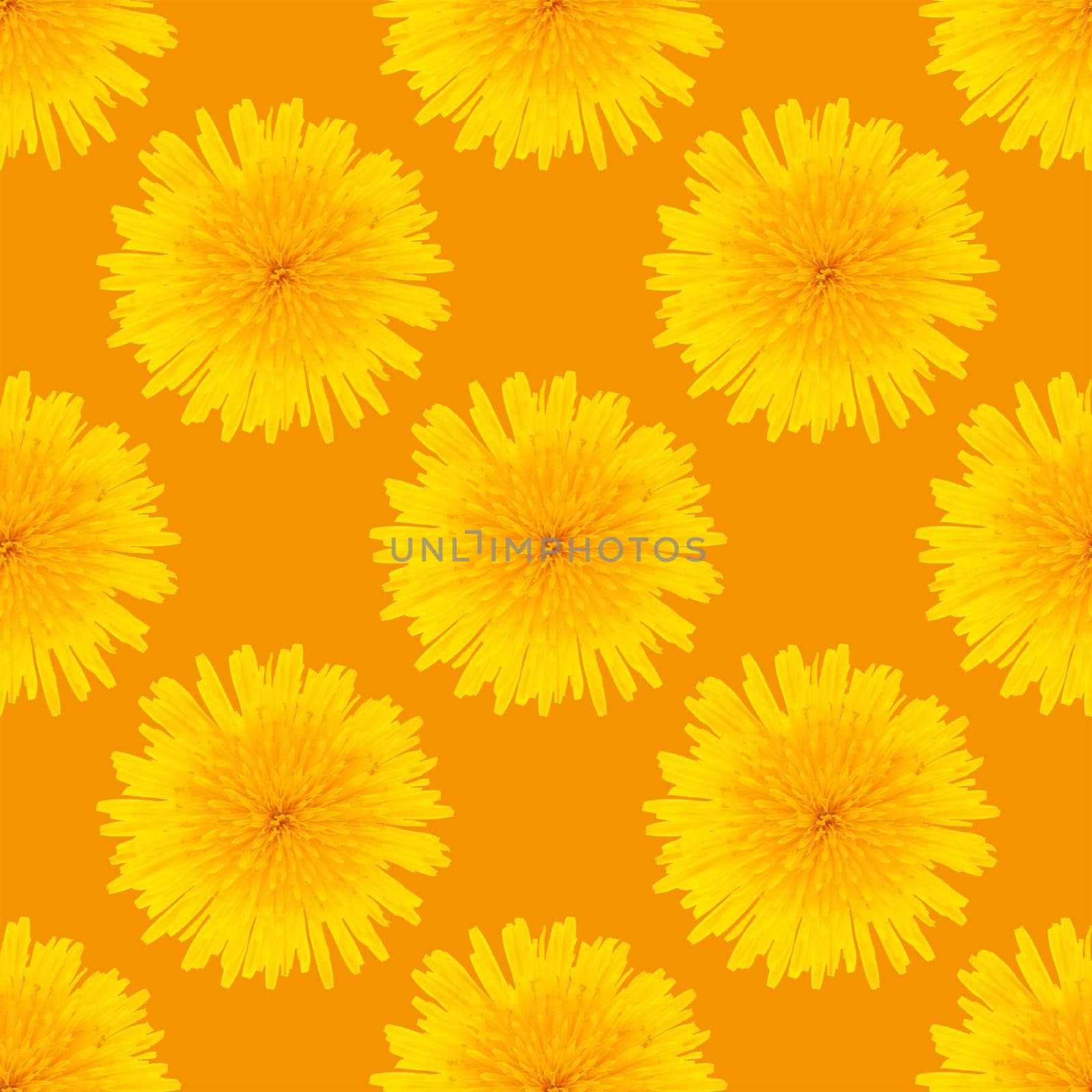 Seamless pattern made from dandelion yellow flowers on an orange background.