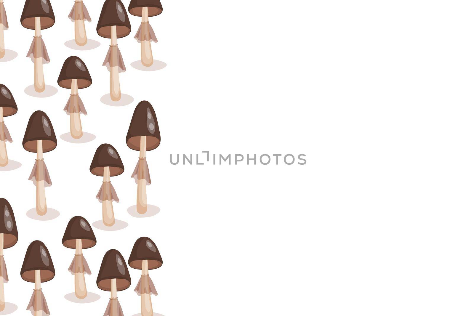 Mushrooms icon set isolated on white background. Frame with natural delicious fresh ripe tasty fruit. Template vector illustration for packaging, banner, card, other design. Food concept. Copy space.