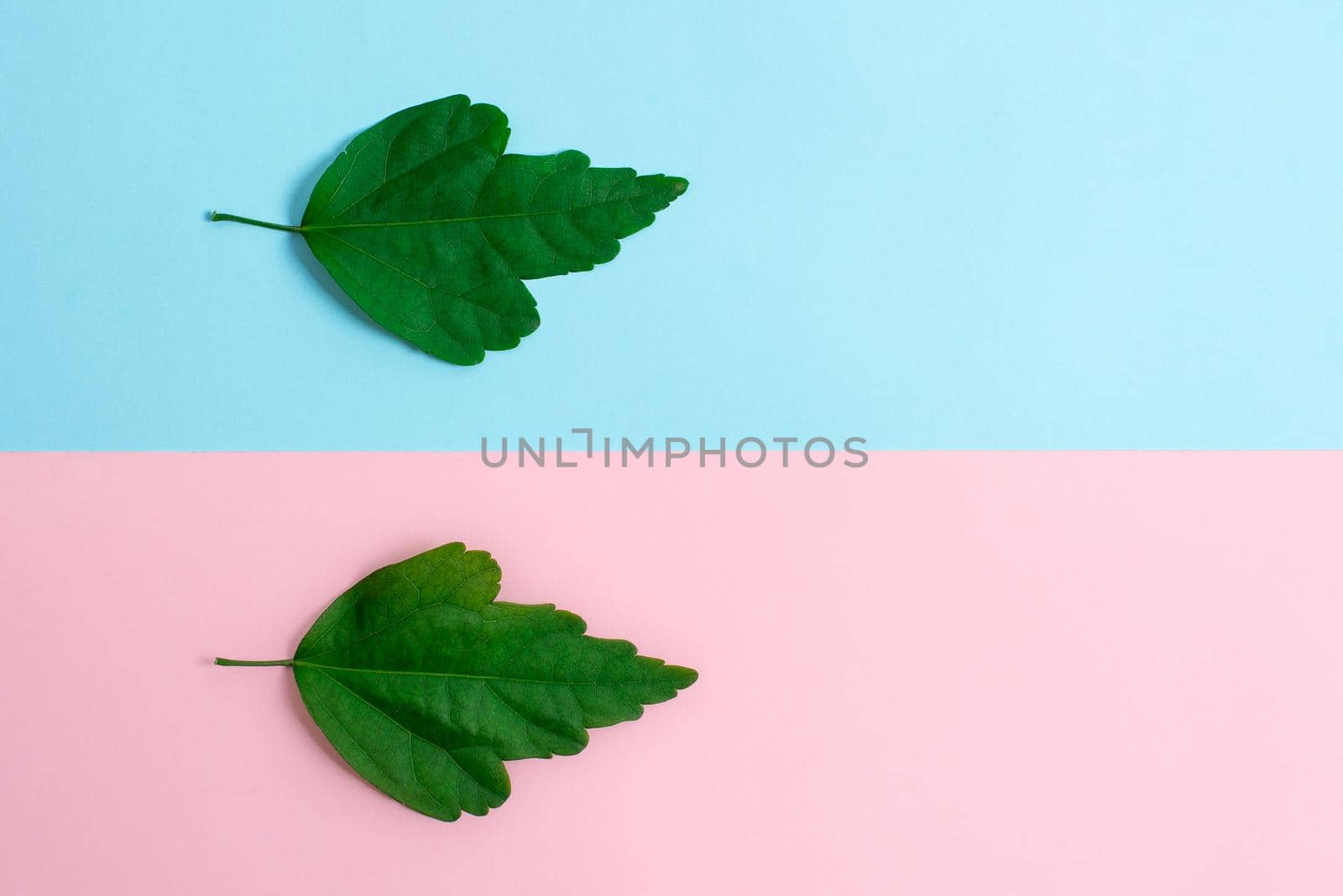 Two Objects Arranged Facing Inward Outward On a Separated Coloured Background