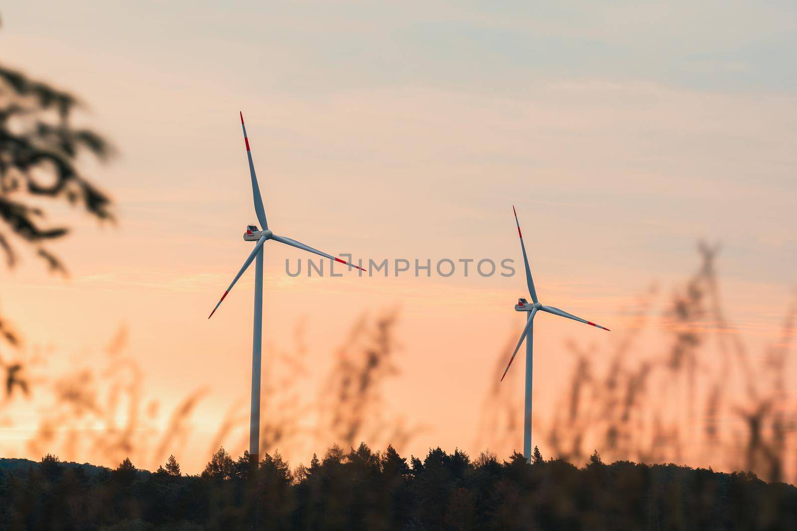 Modern pinwheels in a forest at sunrise