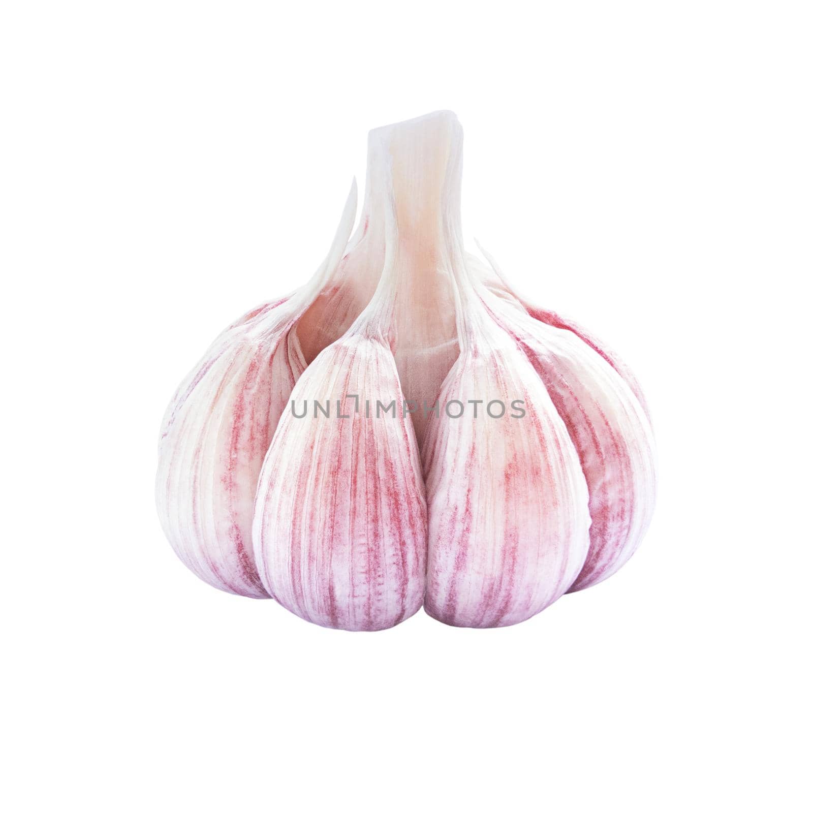 Garlic raw vegetable isolated on a white background.
