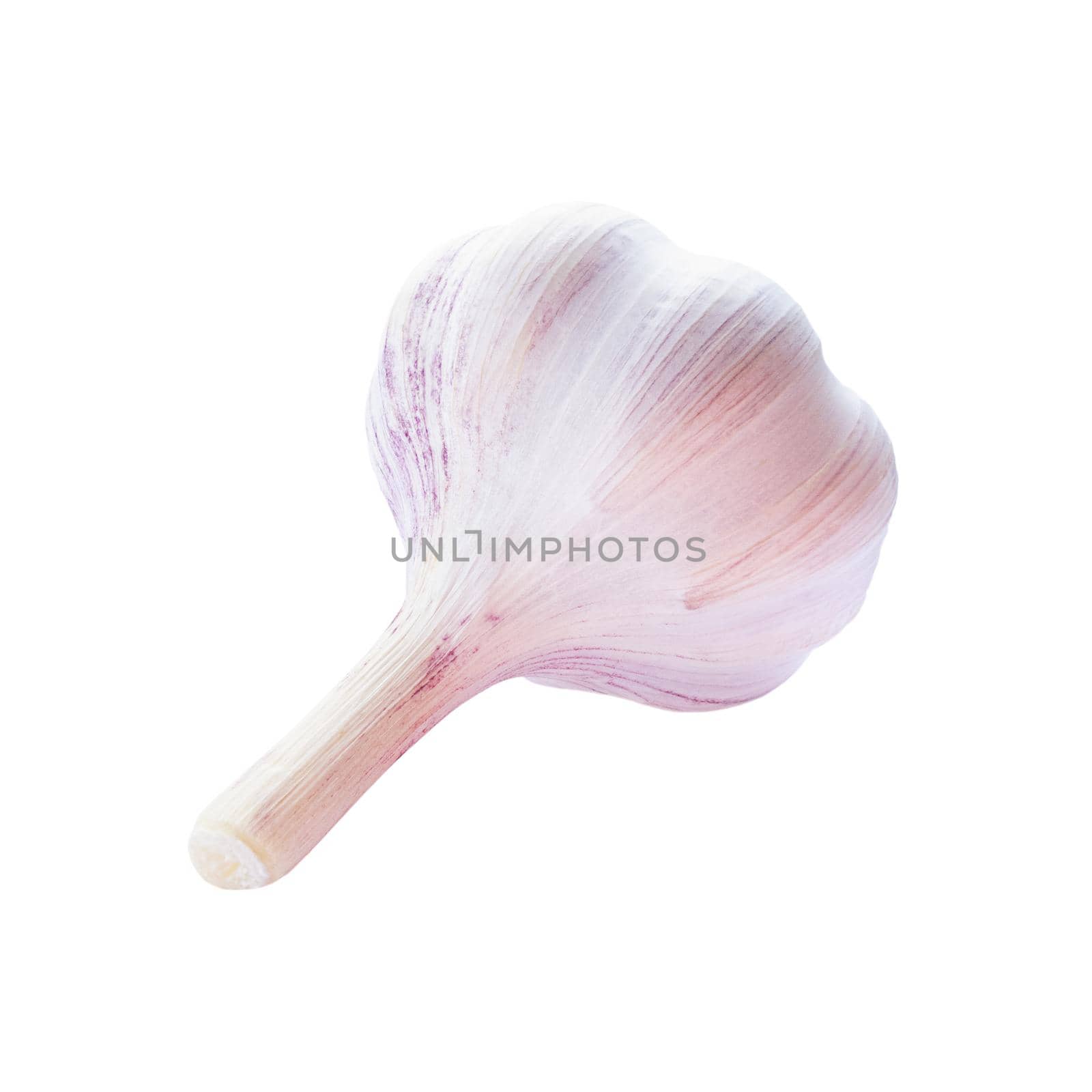 Garlic raw vegetable isolated on a white background.