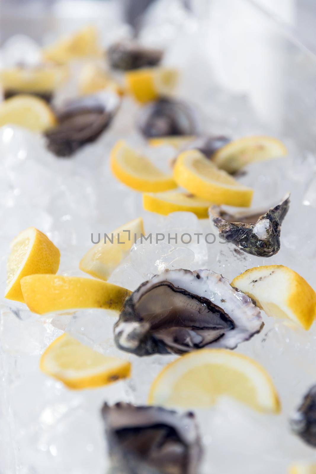Beautiful appetizer fresh oysters on ice and lemon. Luxury seafood background. Healthy nature food. Exquisite restaurant kitchen. Shallow DOF.