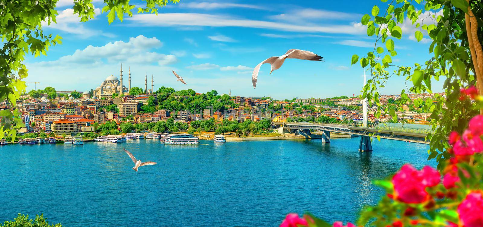 Golden Horn in Istanbul and view of Suleymaniye Mosque