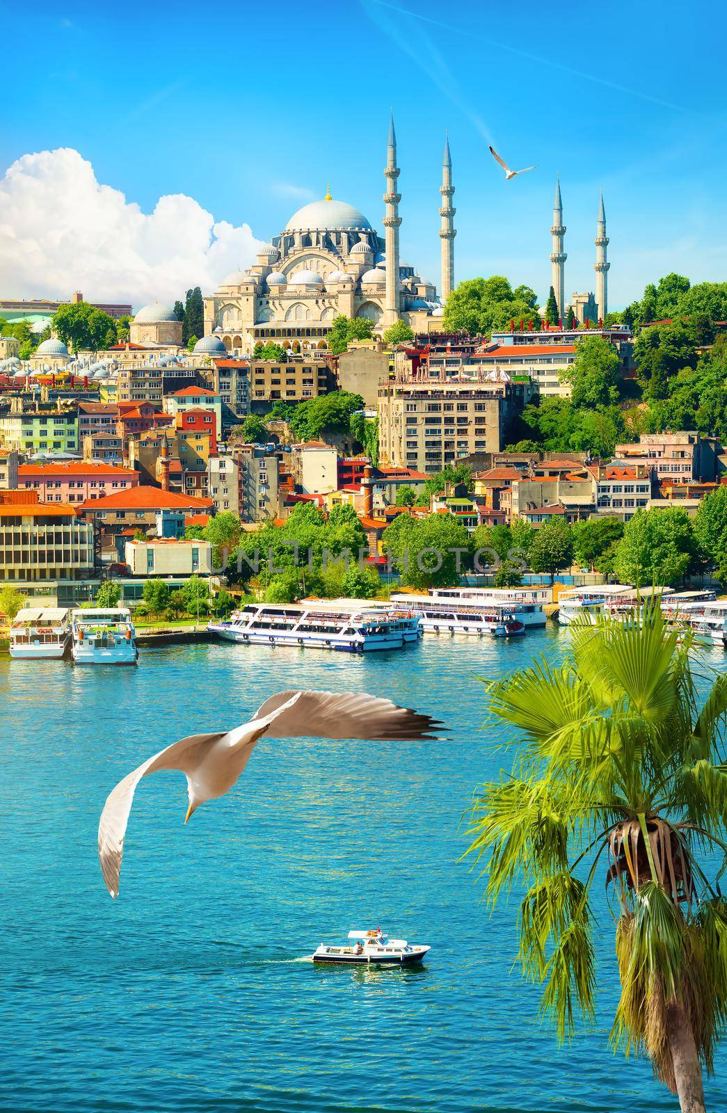 Suleymaniye Mosque in Istanbul at sunny summer day, Turkey