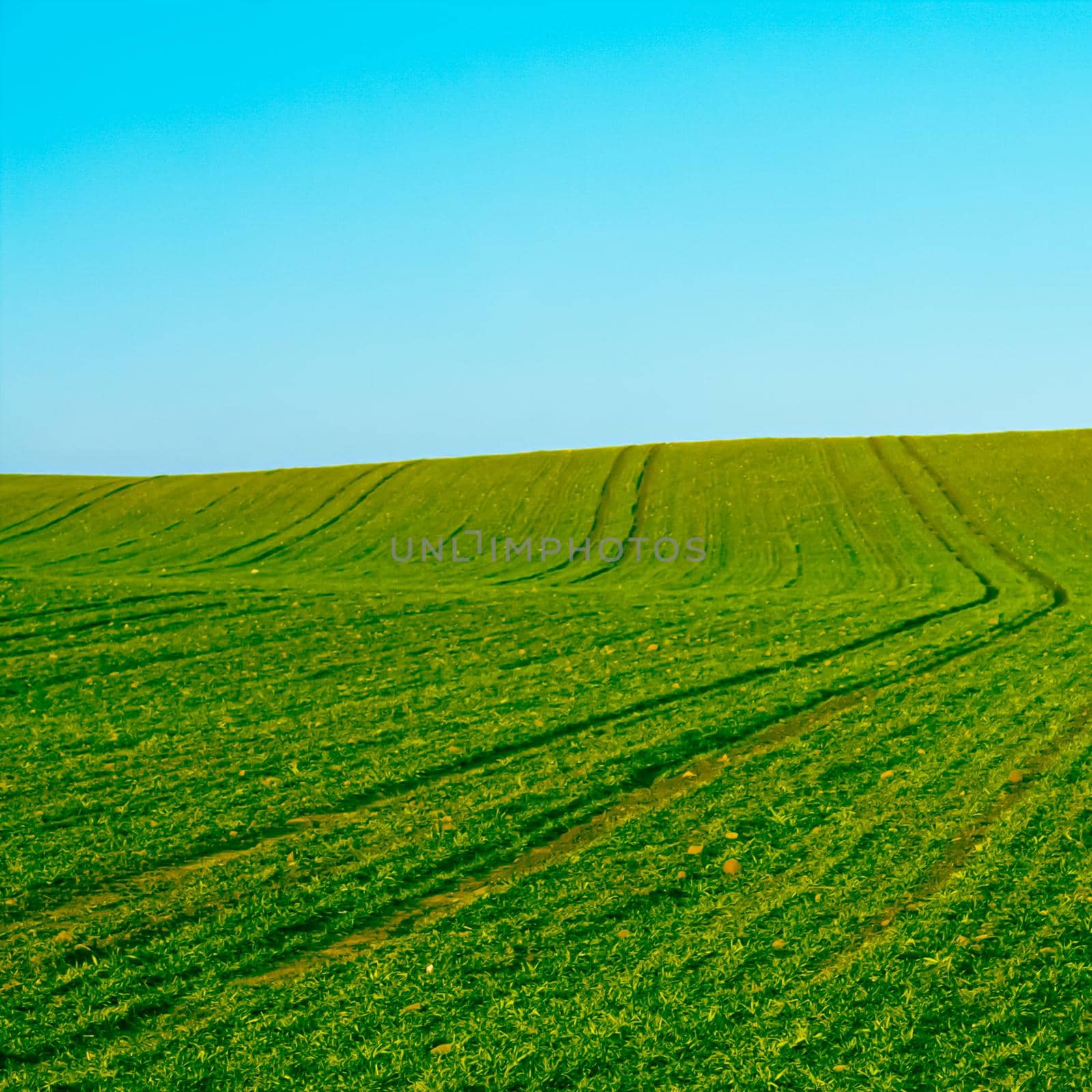 Green field and blue sky, beautiful meadow as nature and environmental background by Anneleven