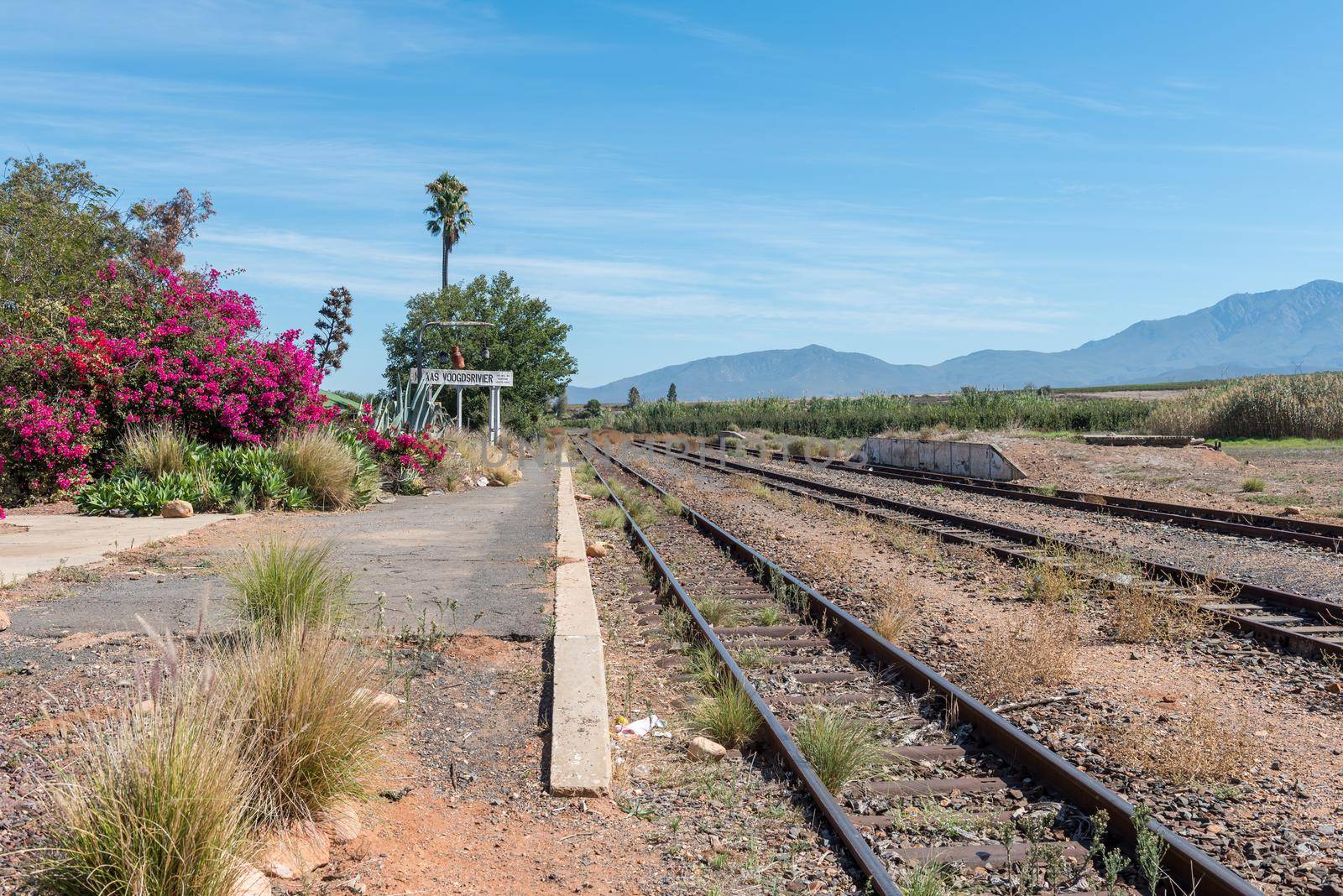 Klaas Voogdsrivier railway station near Ashton in the Western Cape Province. Tracks, a name board and flowers are visible