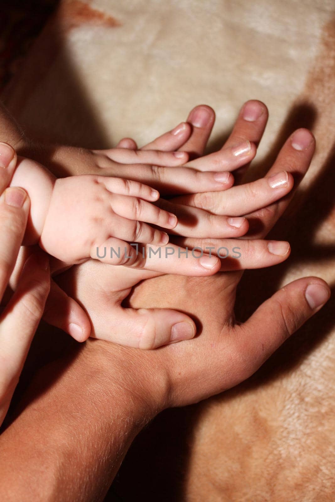hands of dad, mom and their children indoor closeup