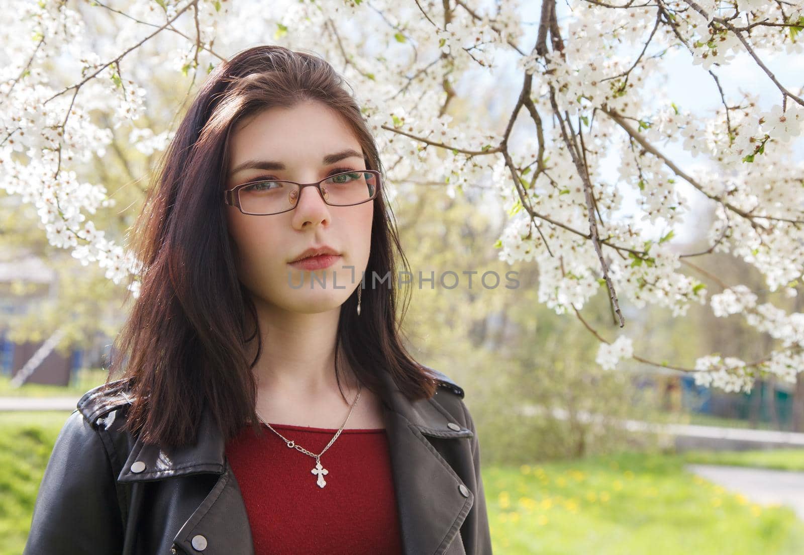 portrait of young beautiful brunette girl in black jacket and burgundy sweater standing near cherry blossoms on sunny spring day. outdoor closeup