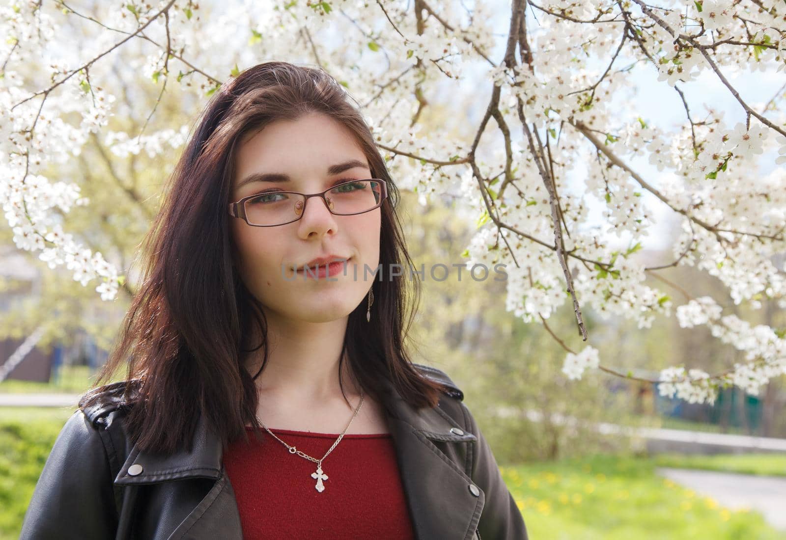 portrait of young beautiful brunette girl in black jacket and burgundy sweater standing near cherry blossoms on sunny spring day. outdoor closeup