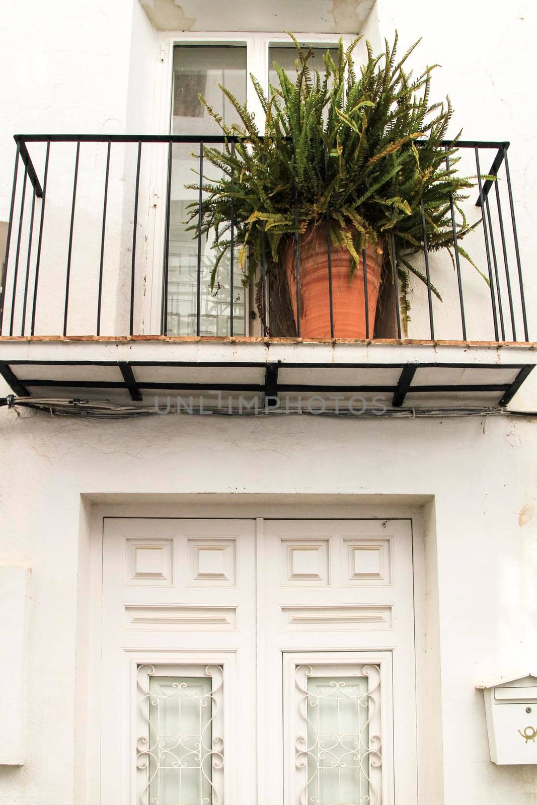 Beautiful whitewashed facade with colorful fern plant in the balcony in Altea village, Alicante, Spain