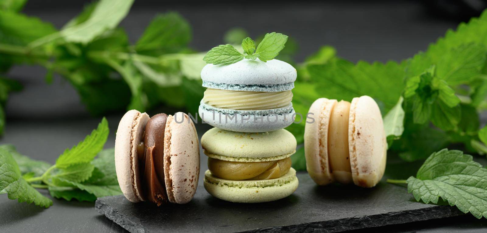 a stack of multi-colored macarons on a black background, behind green sprigs of mint, a delicious and exquisite dessert, banner