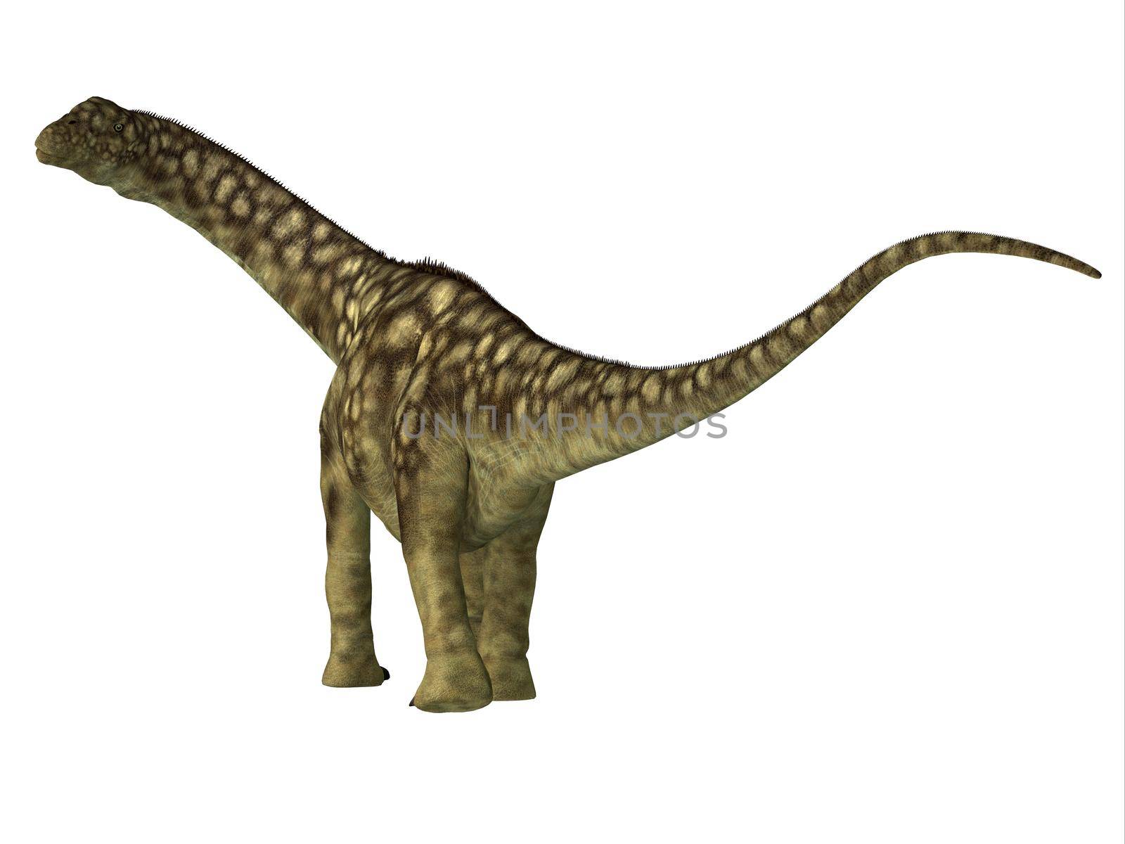 Argentinosaurus Dinosaur Juvenile Tail by Catmando