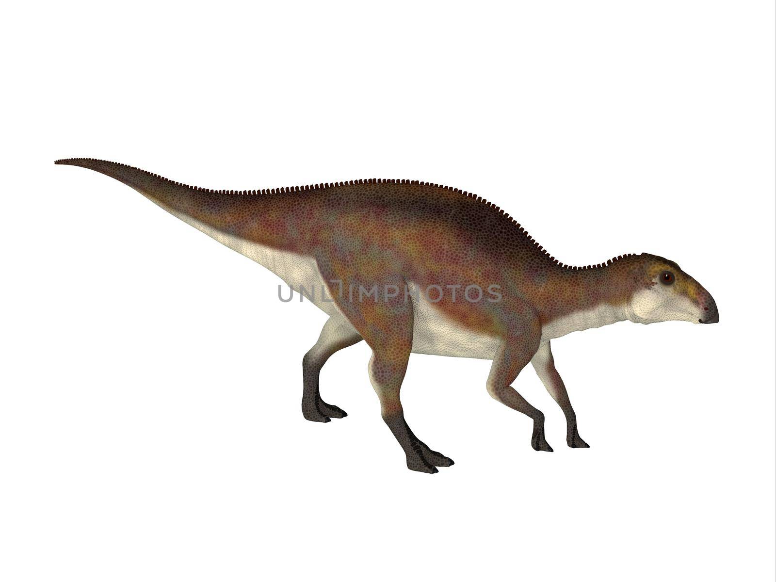 Brachylophosaurus Juvenile Walking by Catmando