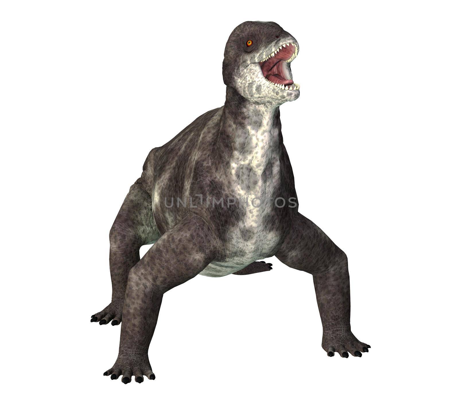 Criocephalosaurus was a therapsid dinosaur that lived during the Permian Period of South Africa.
