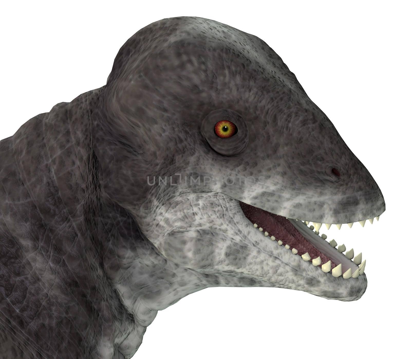 Criocephalosaurus Dinosaur Head by Catmando