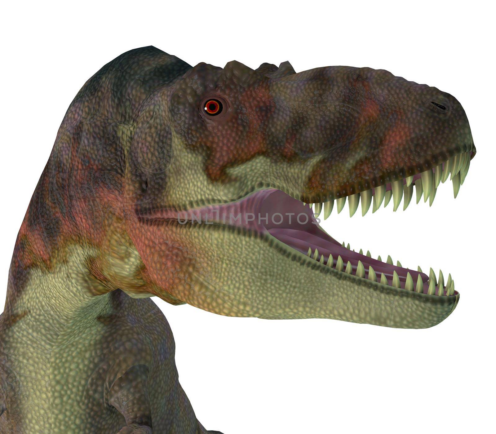 Daspletosaurus was a carnivorous theropod dinosaur that lived in North America during the Cretaceous Period.