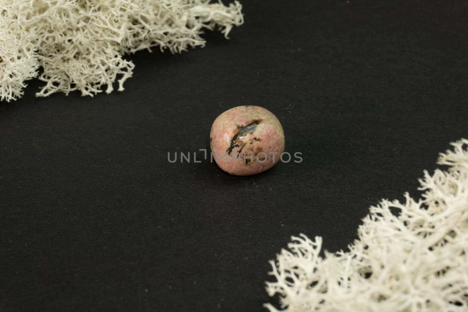 Rhodonite from China. Natural mineral stone on a black background surrounded by moss. Mineralogy, geology, magic, semi-precious stones and samples of minerals. Close-up macro photo.