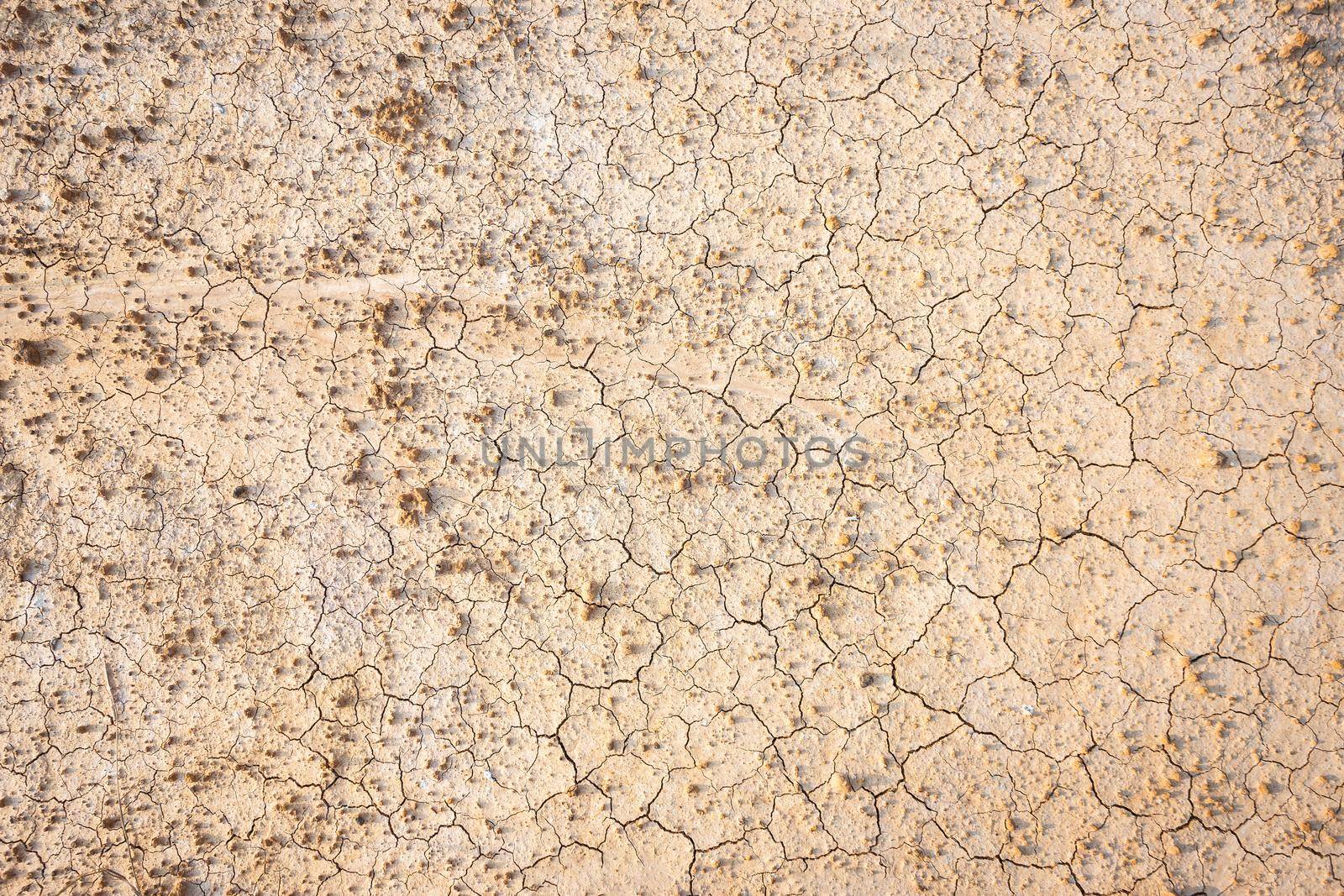 Brown dry soil or cracked ground texture background.