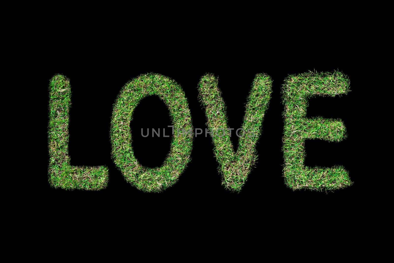 Love text with green grass growing on Isolated on black.Love concept