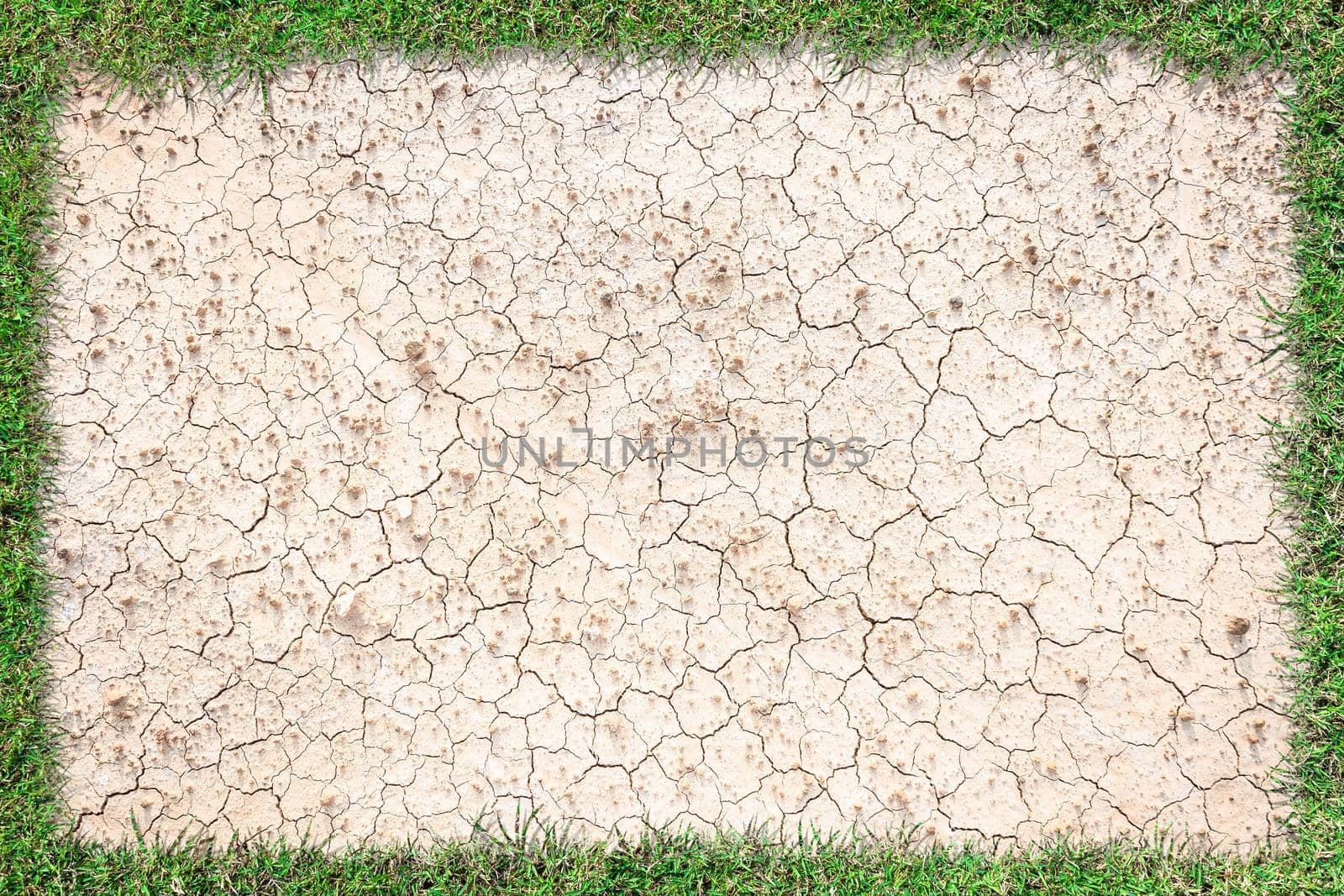 green grass frame isolated on brown dry soil or cracked ground texture background.