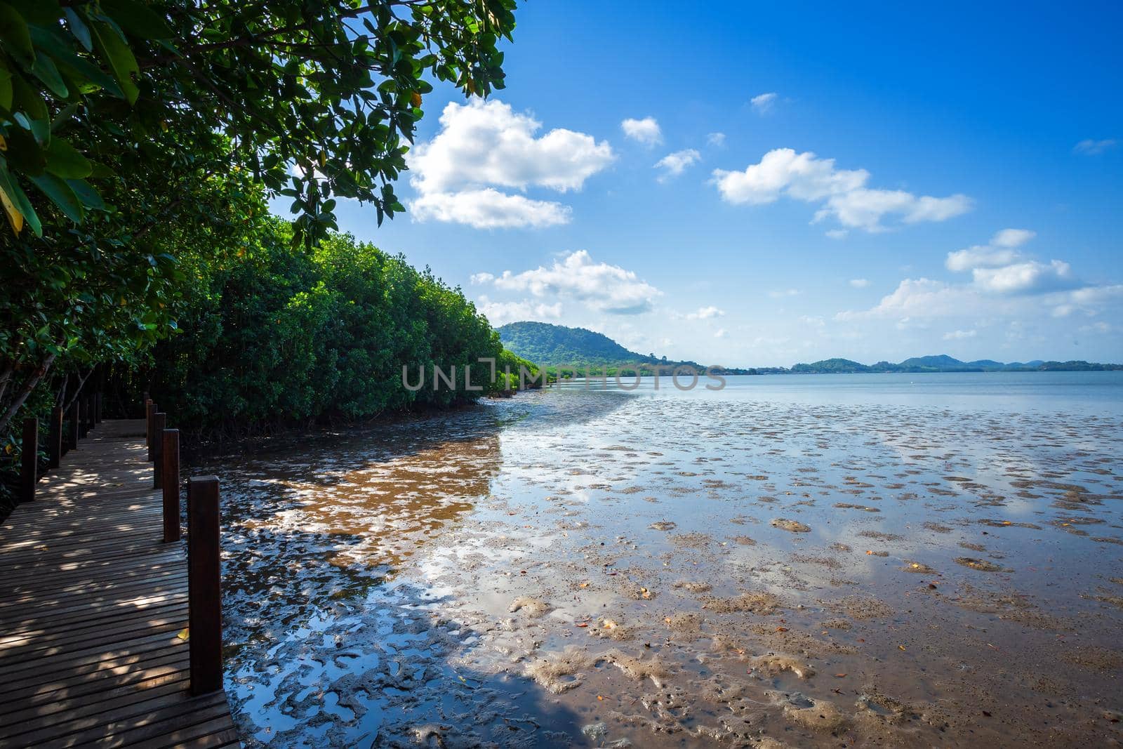 bridge wooden walking way in The forest mangrove and the sea the horizon in Chanthaburi Thailand.