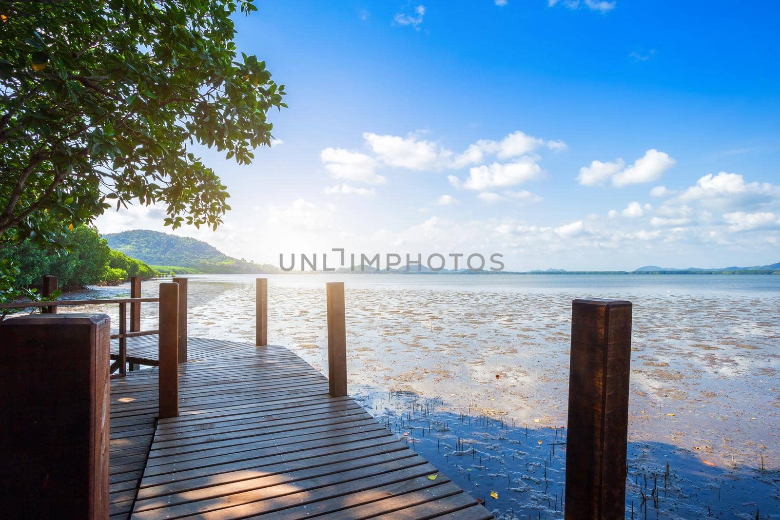 bridge wooden walking way in The forest mangrove and the sea the horizon in Chanthaburi Thailand.