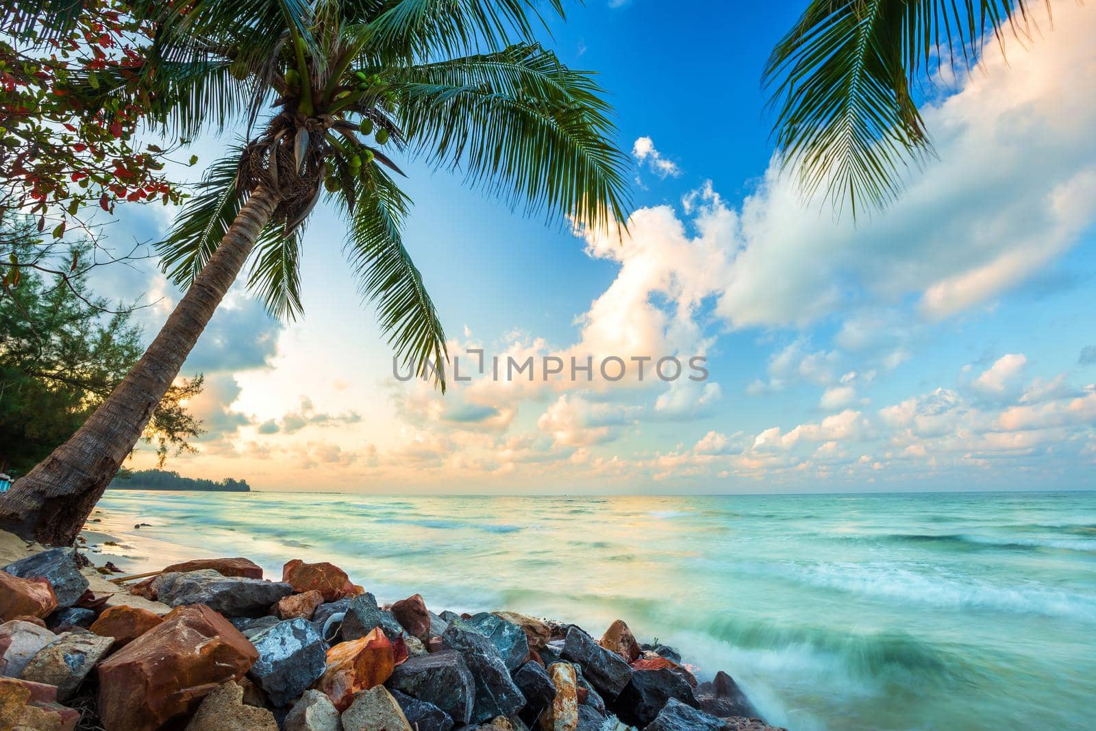 Beautiful early morning sunrise over Coconut tree with the sea the horizon at Hat chao lao beach in Chanthaburi Thailand.