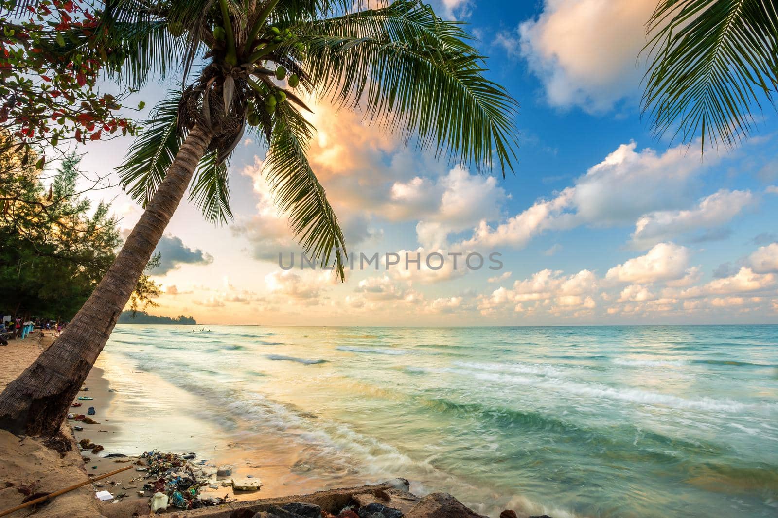 early morning sunrise over Coconut tree and Garbage on the beach with the sea the horizon at Hat chao lao beach in Chanthaburi Thailand.