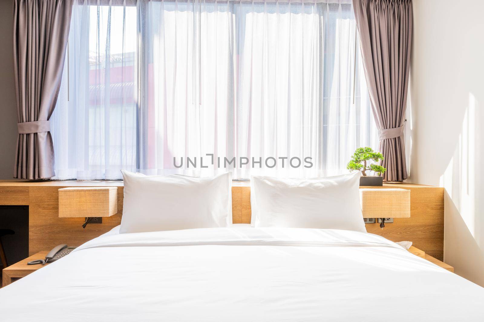 Close-up of white pillow on bed decoration with light lamp and green tree in flowerpots in hotel bedroom interior.