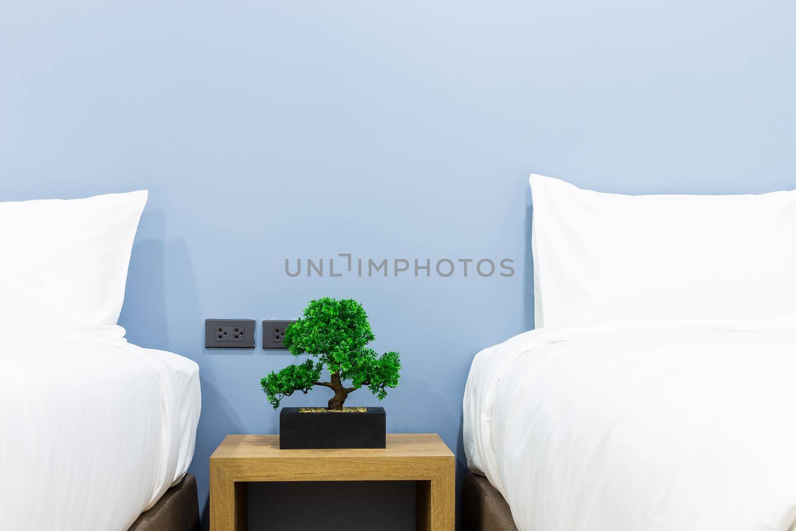 Close-up of white pillow on bed decoration with green tree in flowerpots in hotel bedroom interior.