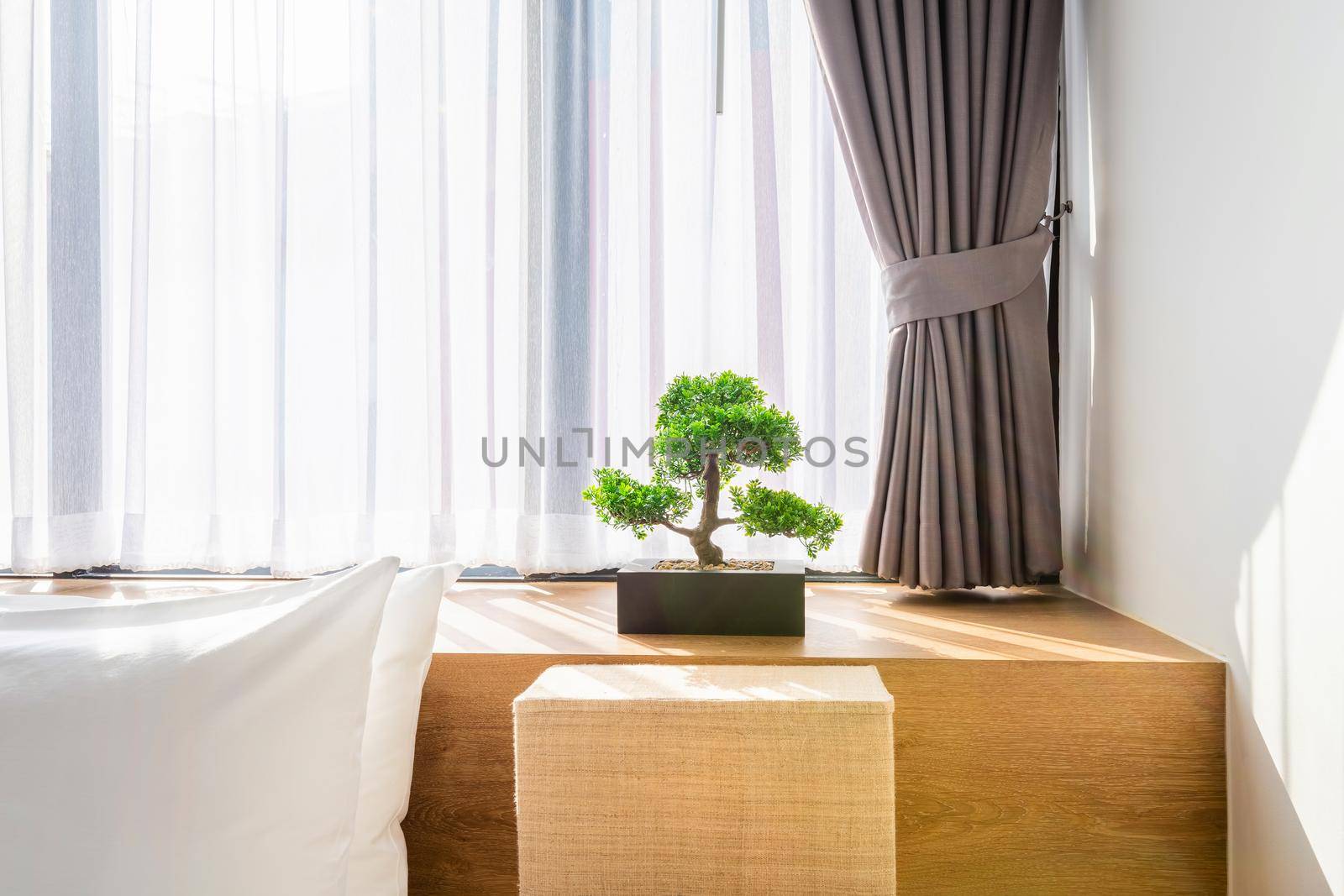 Close-up of white pillow on bed decoration with light lamp and green tree in flowerpots in hotel bedroom interior.